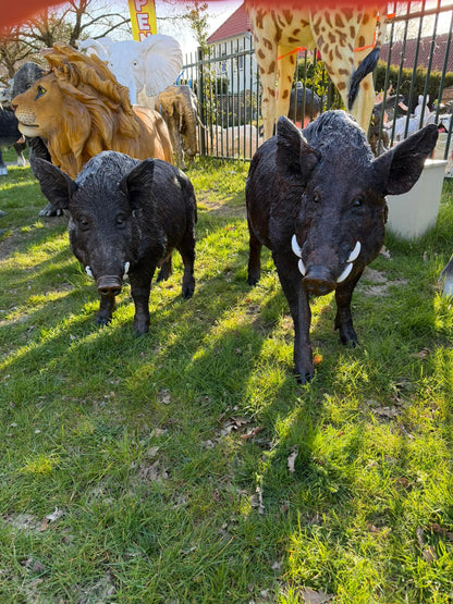Set everzwijnen -  mannelijk en vrouwelijk - XXXL -  staand - bruin