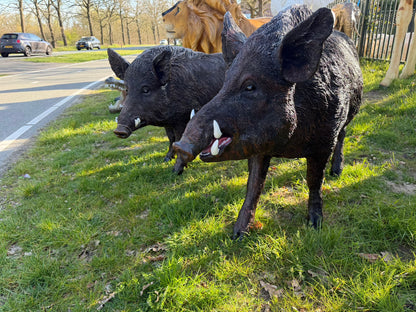 Set everzwijnen -  mannelijk en vrouwelijk - XXXL -  staand - bruin