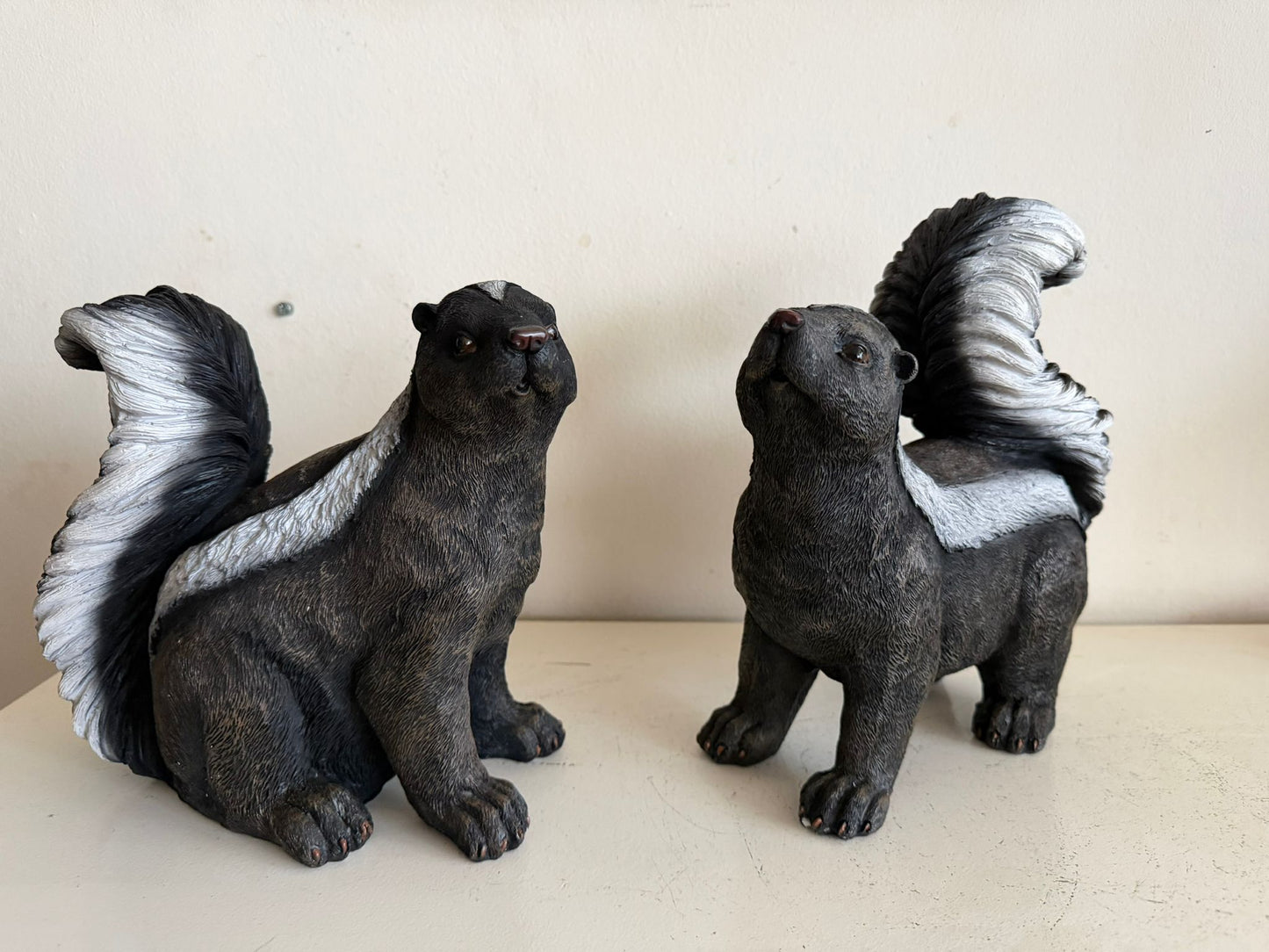 Skunk Stinkdier zittend of staand