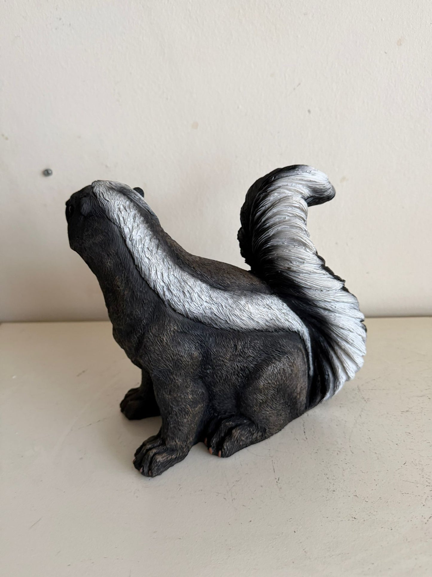 Skunk Stinkdier zittend of staand