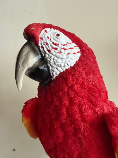 Mooie papegaai op tak (65cm hoog) Rood