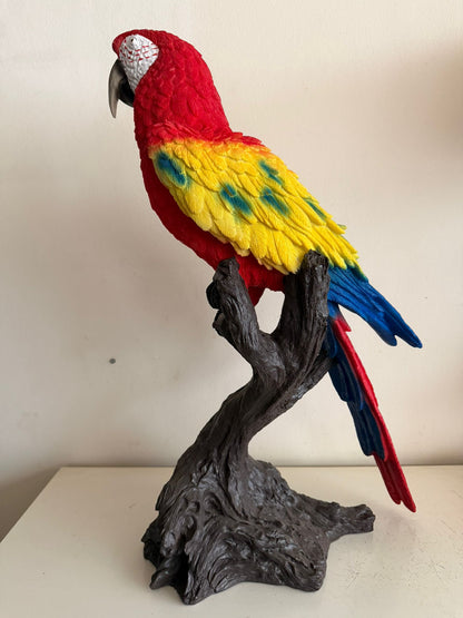 Mooie papegaai op tak (65cm hoog) Rood