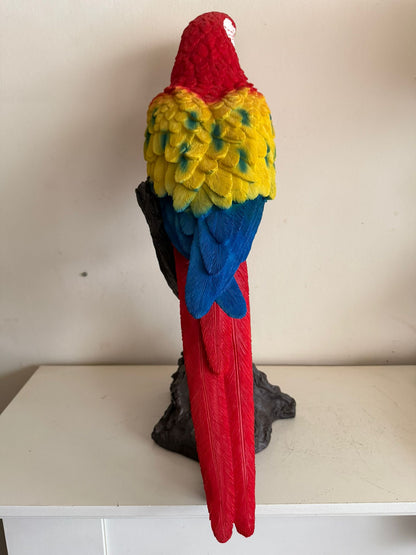 Mooie papegaai op tak (65cm hoog) Rood