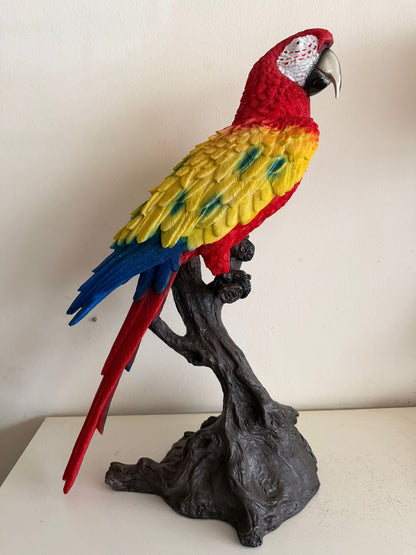 Mooie papegaai op tak (65cm hoog) Rood