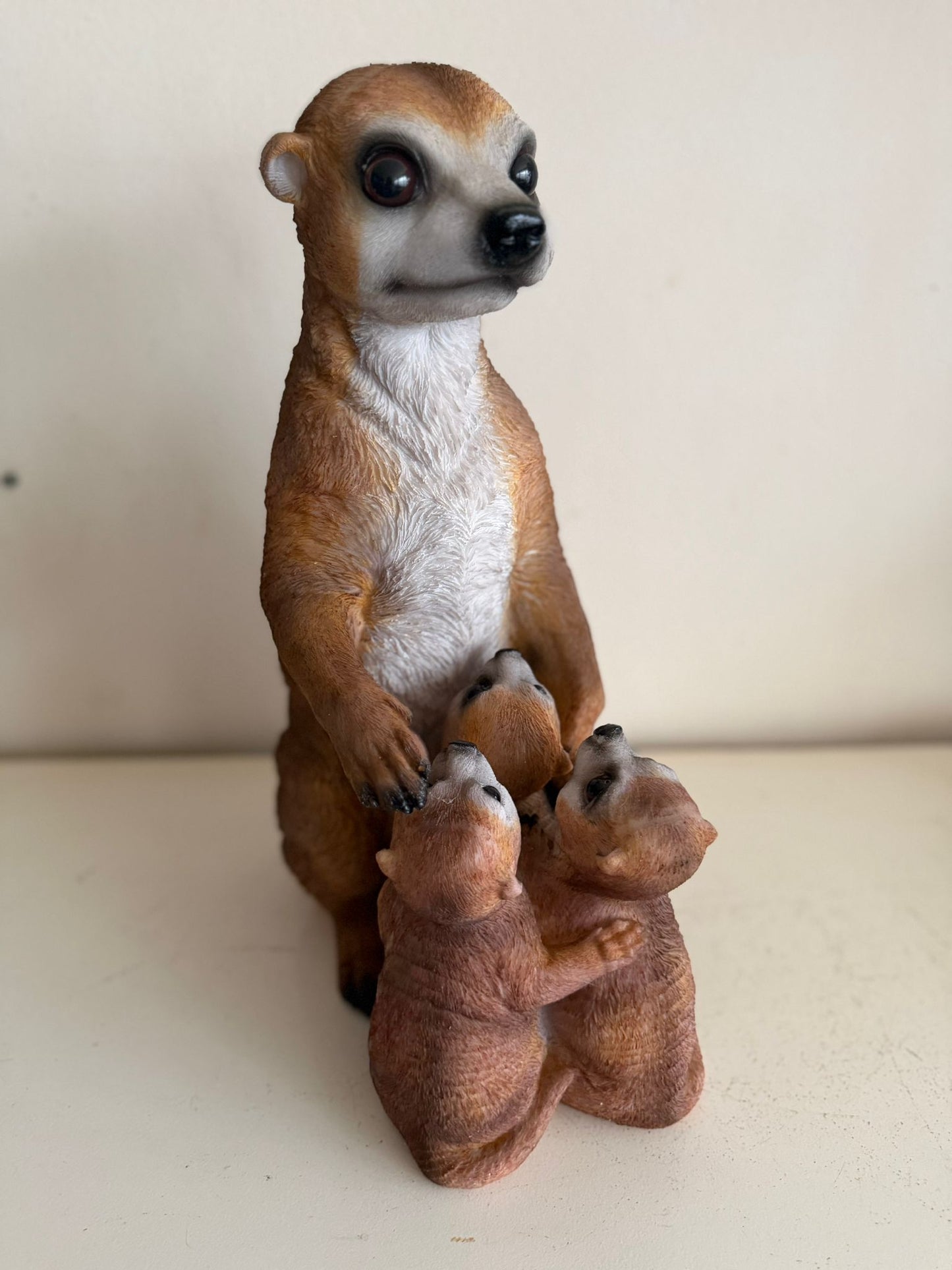Stokstaart Stokstaartjes familie