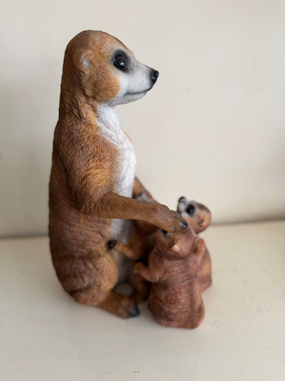 Stokstaart Stokstaartjes familie