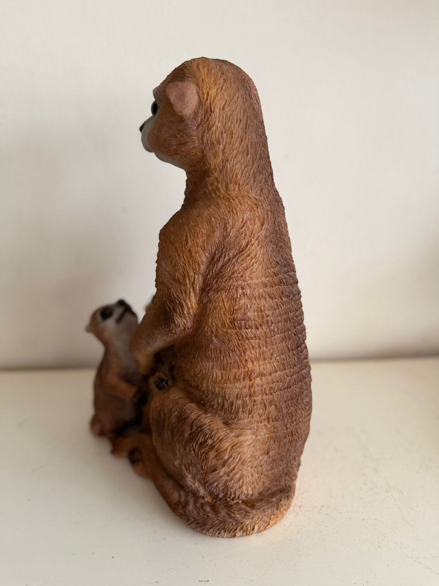 Stokstaart Stokstaartjes familie