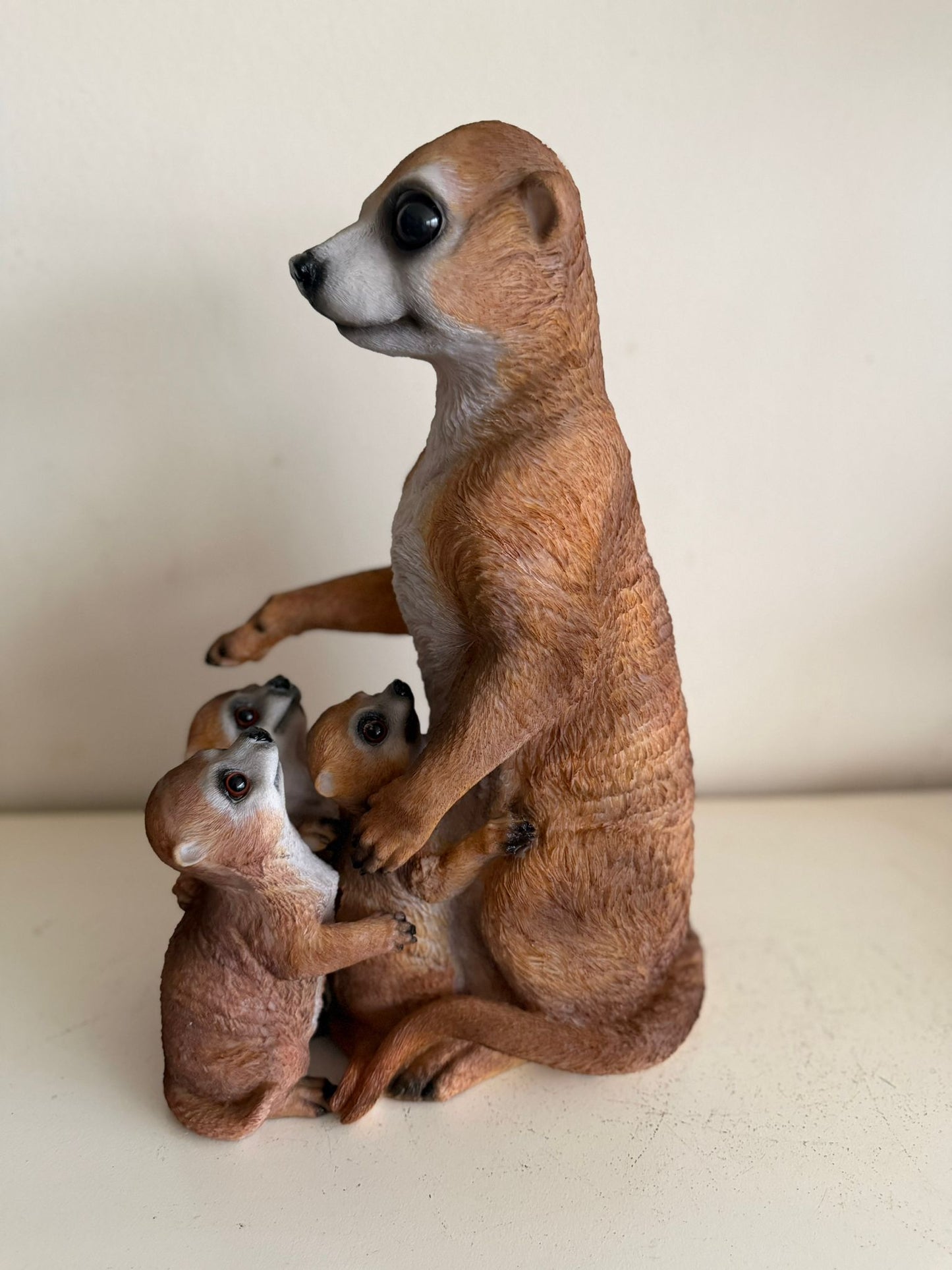 Stokstaart Stokstaartjes familie