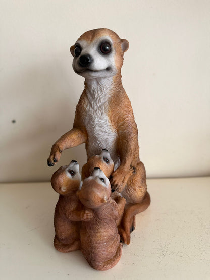 Stokstaart Stokstaartjes familie