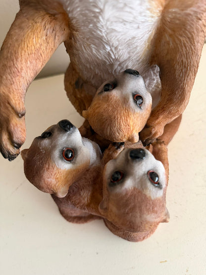 Stokstaart Stokstaartjes familie