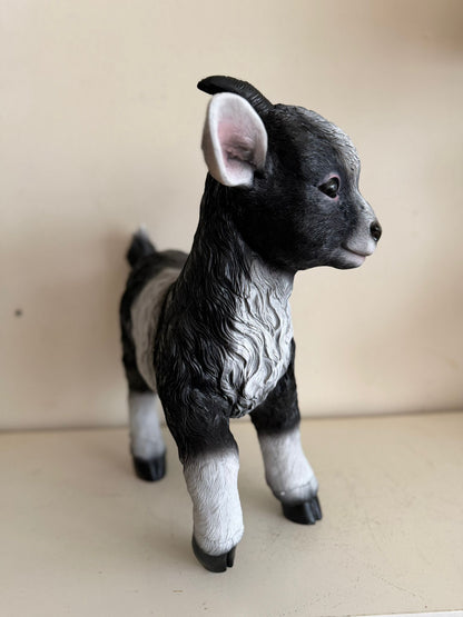 Geitjes in verschillende kleuren (45cm hoog)