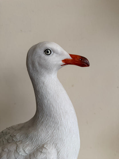 Leuke Zeemeeuw (40cm hoog)
