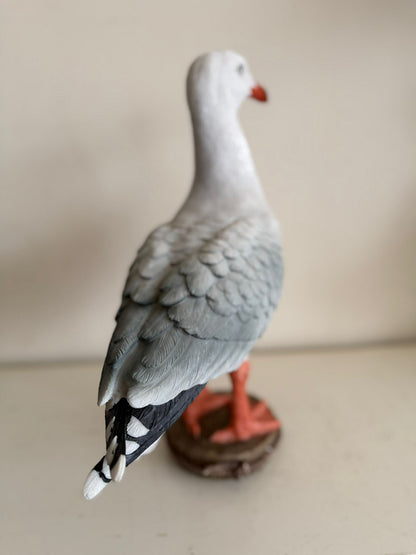 Leuke Zeemeeuw (40cm hoog)