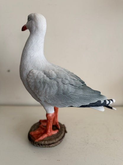 Leuke Zeemeeuw (40cm hoog)