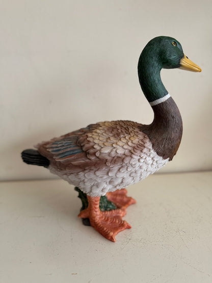 Leuke Eend (36cm hoog)