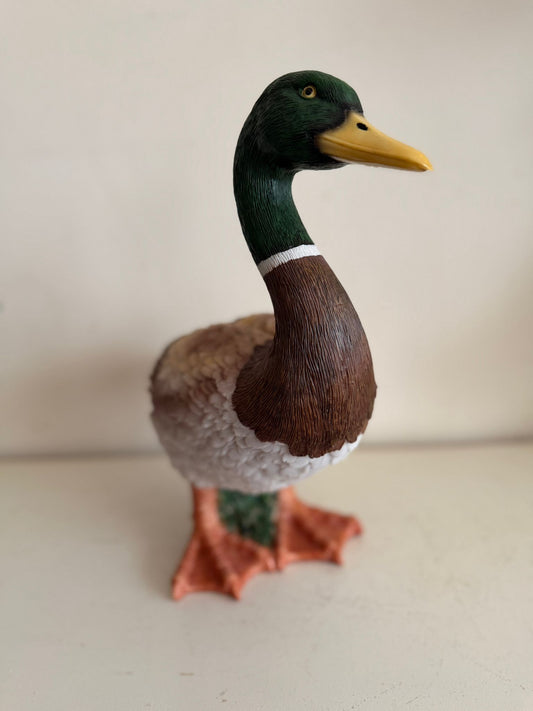 Leuke Eend (36cm hoog)