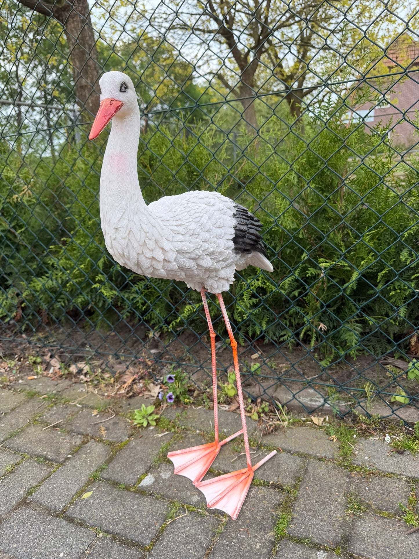 Mooie staande Ooienvaar (80cm hoog)