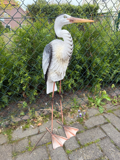 Statige Reiger