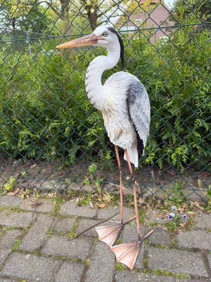 Statige Reiger