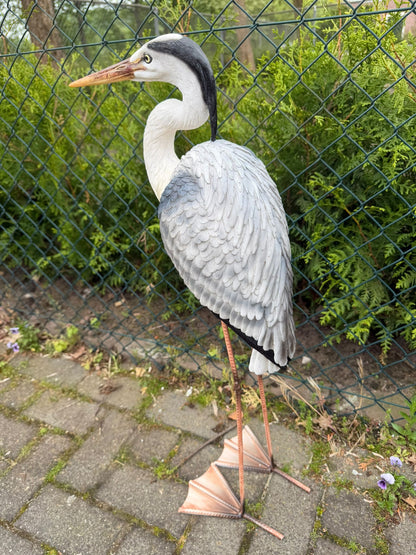 Statige Reiger