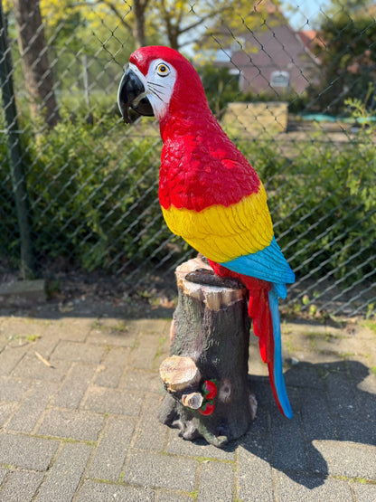 Kleurrijke Papegaai op stam (110cm hoog)