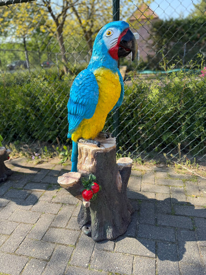 Kleurrijke Papegaai op stam (110cm hoog)
