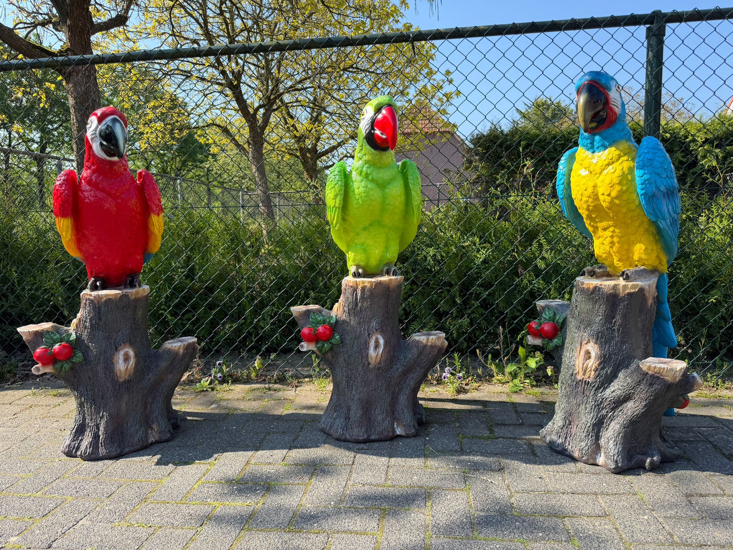 Kleurrijke Papegaai op stam (110cm hoog)
