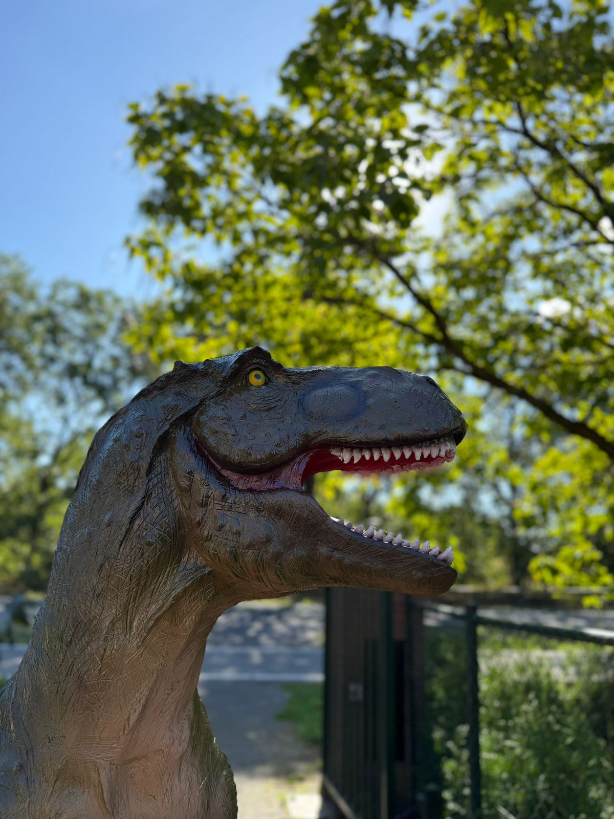 Dinosaurus serie - Dinosaurus - T-Rex - 180cm hoog en 300cm lang
