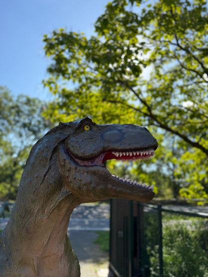 Dinosaurus serie - Dinosaurus - T-Rex - 180cm hoog en 300cm lang