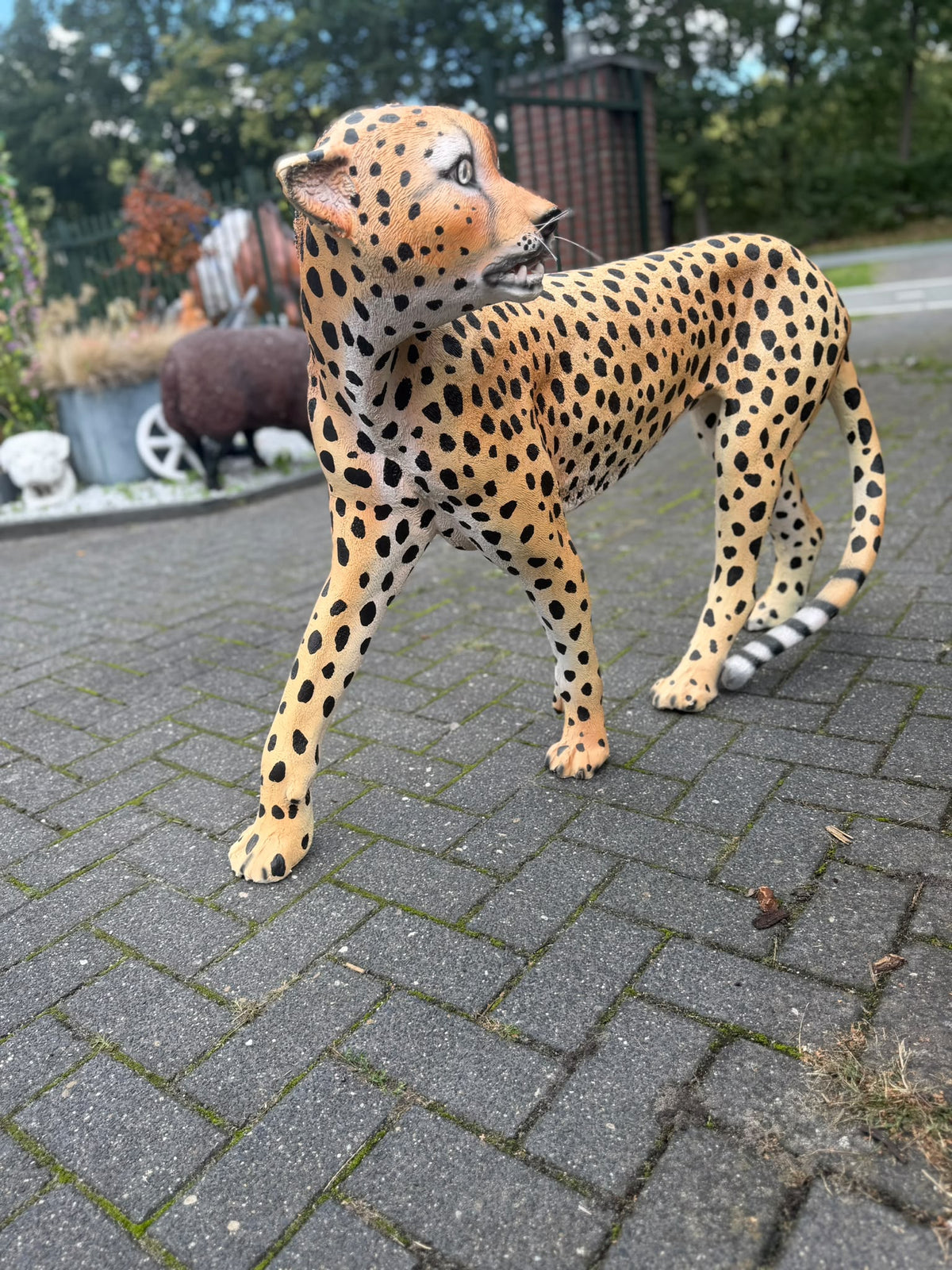 Cheetah - jachtluipaard - staand - 120 cm lang