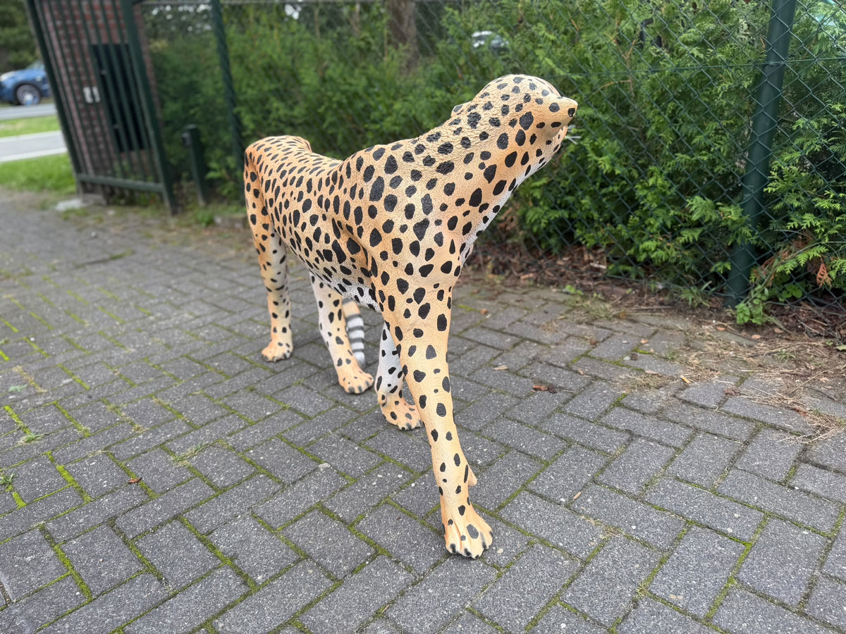 Cheetah - jachtluipaard - staand - 120 cm lang