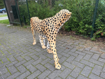 Cheetah - jachtluipaard - staand - 120 cm lang