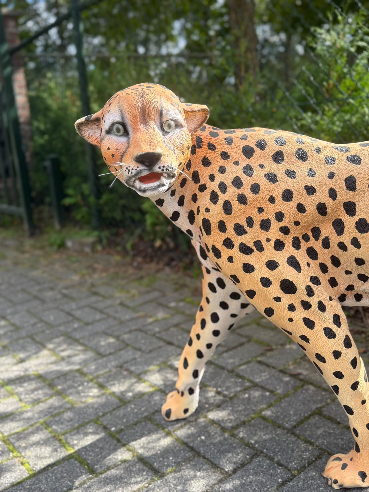 Cheetah - jachtluipaard - staand - 120 cm lang