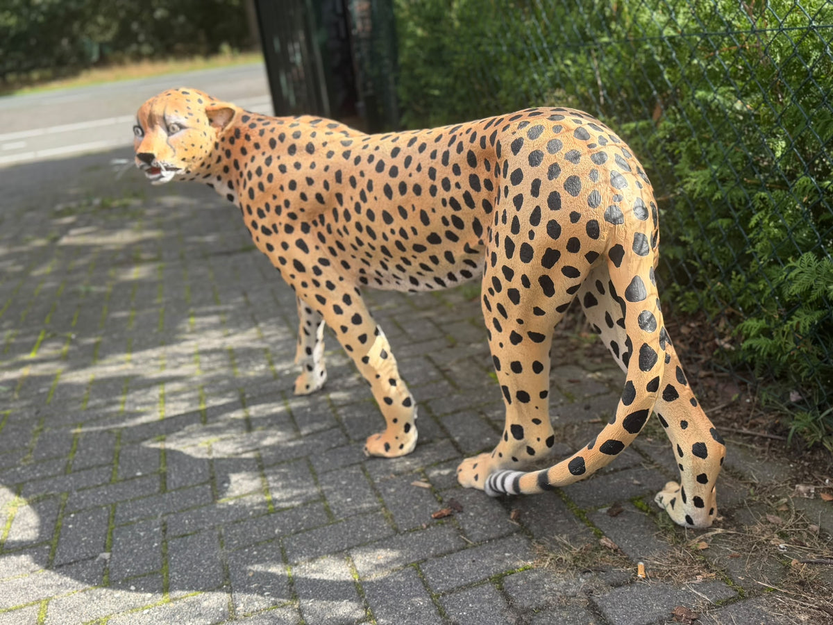 Cheetah - jachtluipaard - staand - 120 cm lang