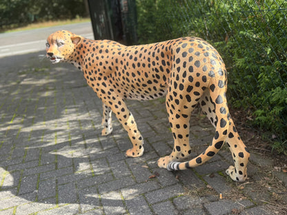 Cheetah - jachtluipaard - staand - 120 cm lang