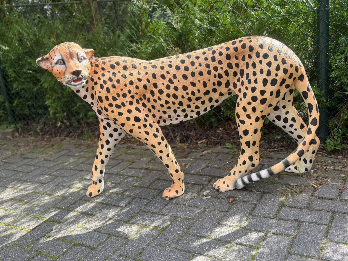 Cheetah - jachtluipaard - staand - 120 cm lang