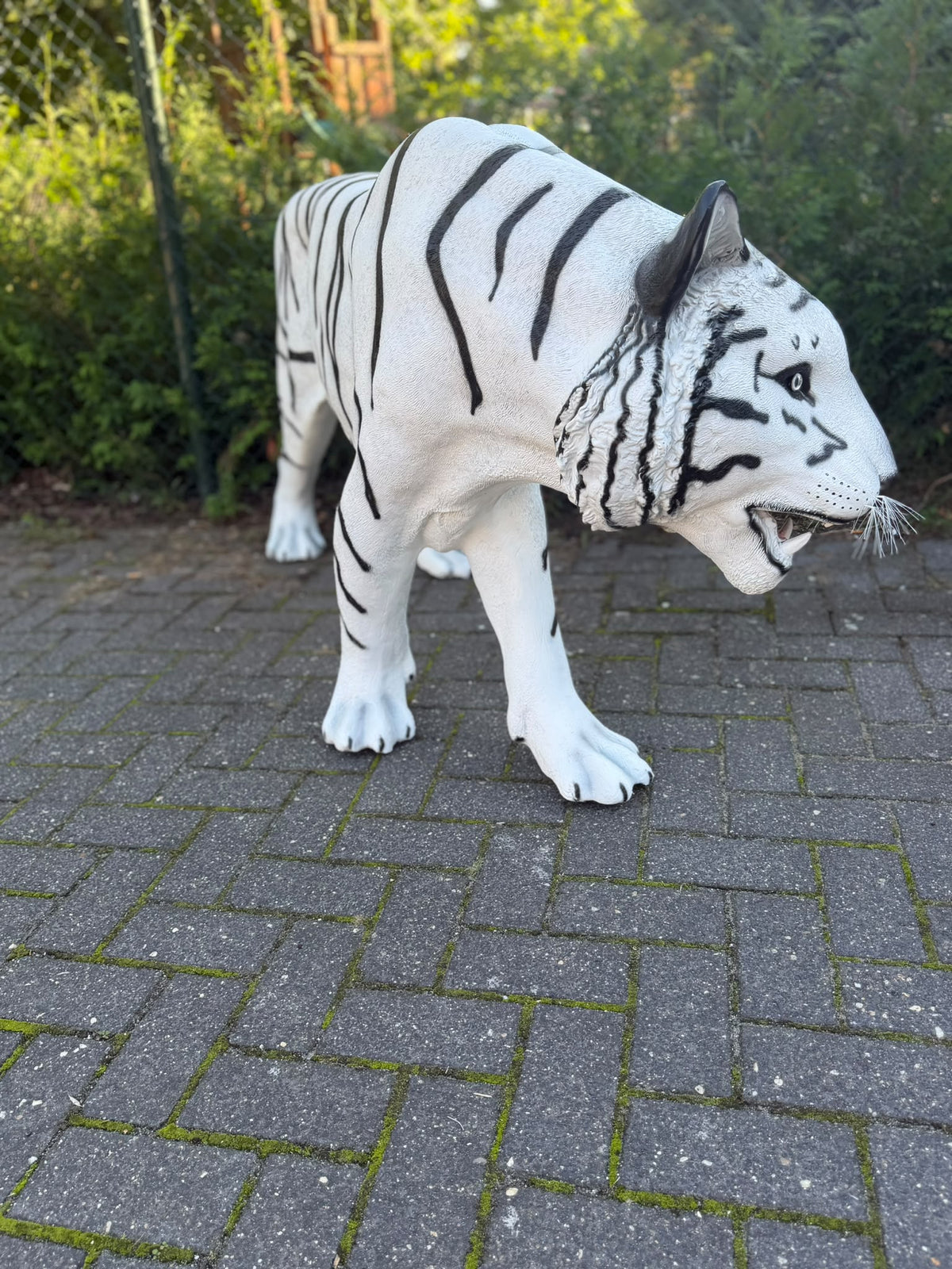 Witte Tijger - Tijger - XXXXL -