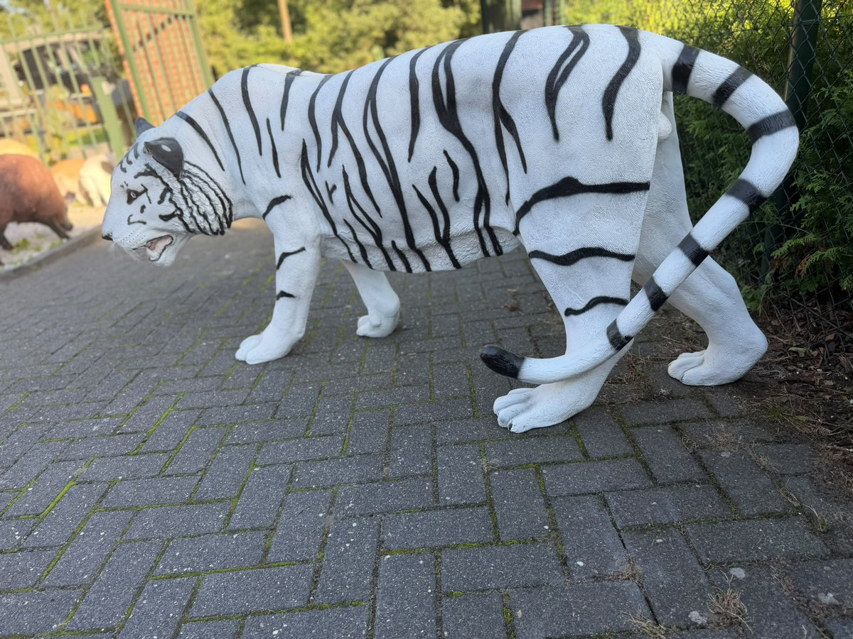 Witte Tijger - Tijger - XXXXL -