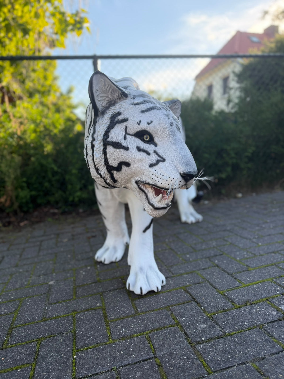 Witte Tijger - Tijger - XXXXL -