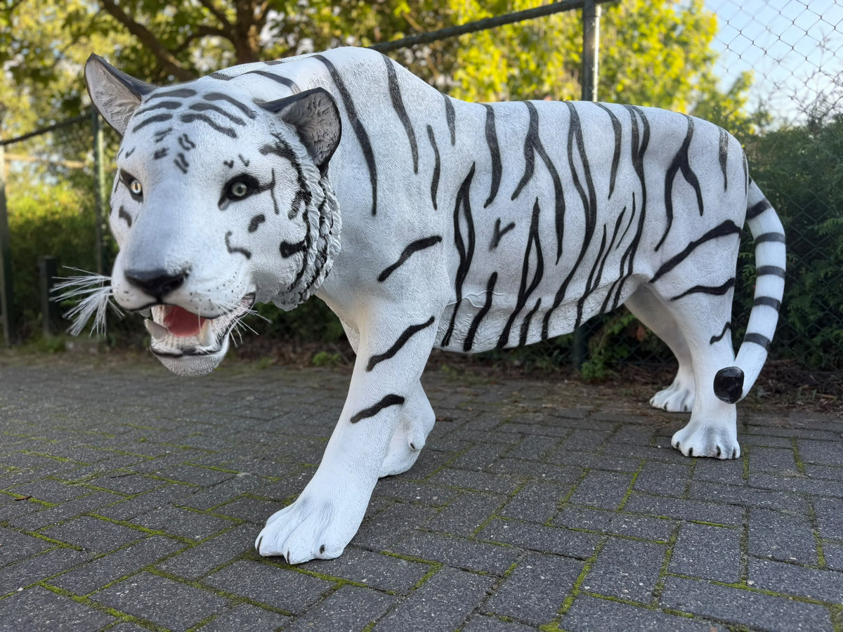 Witte Tijger - Tijger - XXXXL -