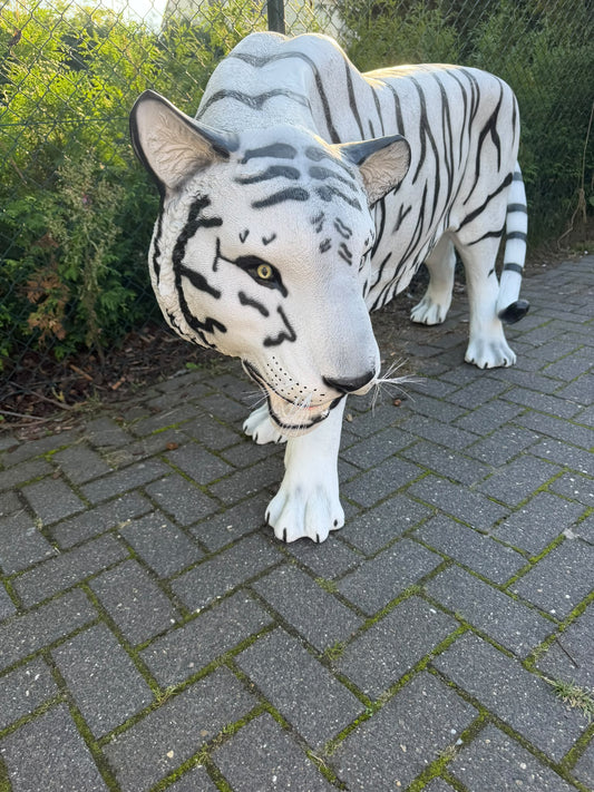 Witte Tijger - Tijger - XXXXL -