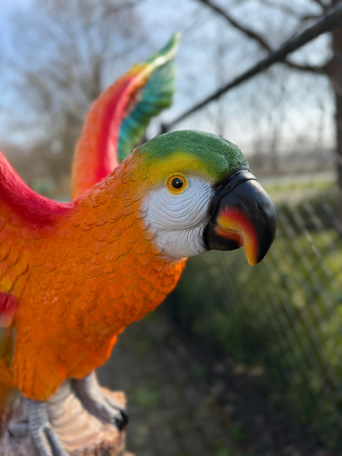 Papegaai -  Papegaaien - op boomstam - 160cm hoog - verschillende kleuren