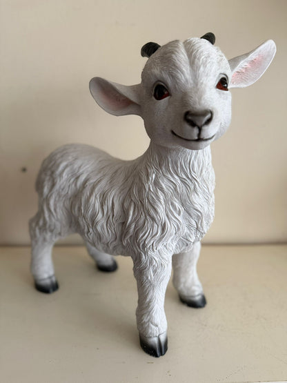 Geitjes in verschillende kleuren (45cm hoog)