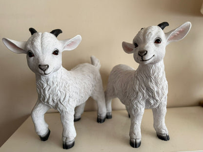 Geitjes in verschillende kleuren (45cm hoog)
