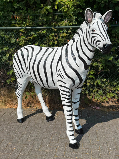 Mooi grote Zebra (170 cm hoog en 180 cm lang)
