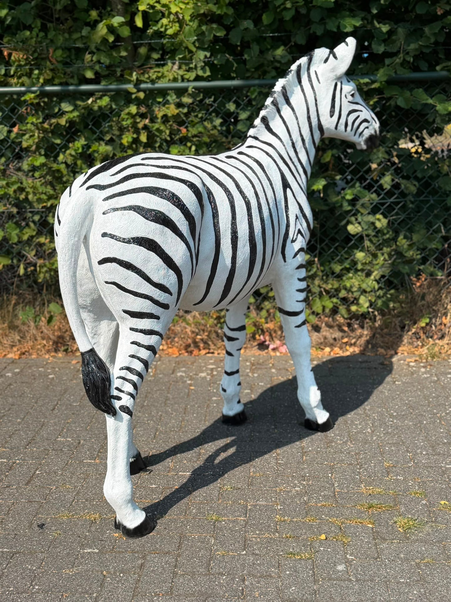 Mooi grote Zebra (170 cm hoog en 180 cm lang)