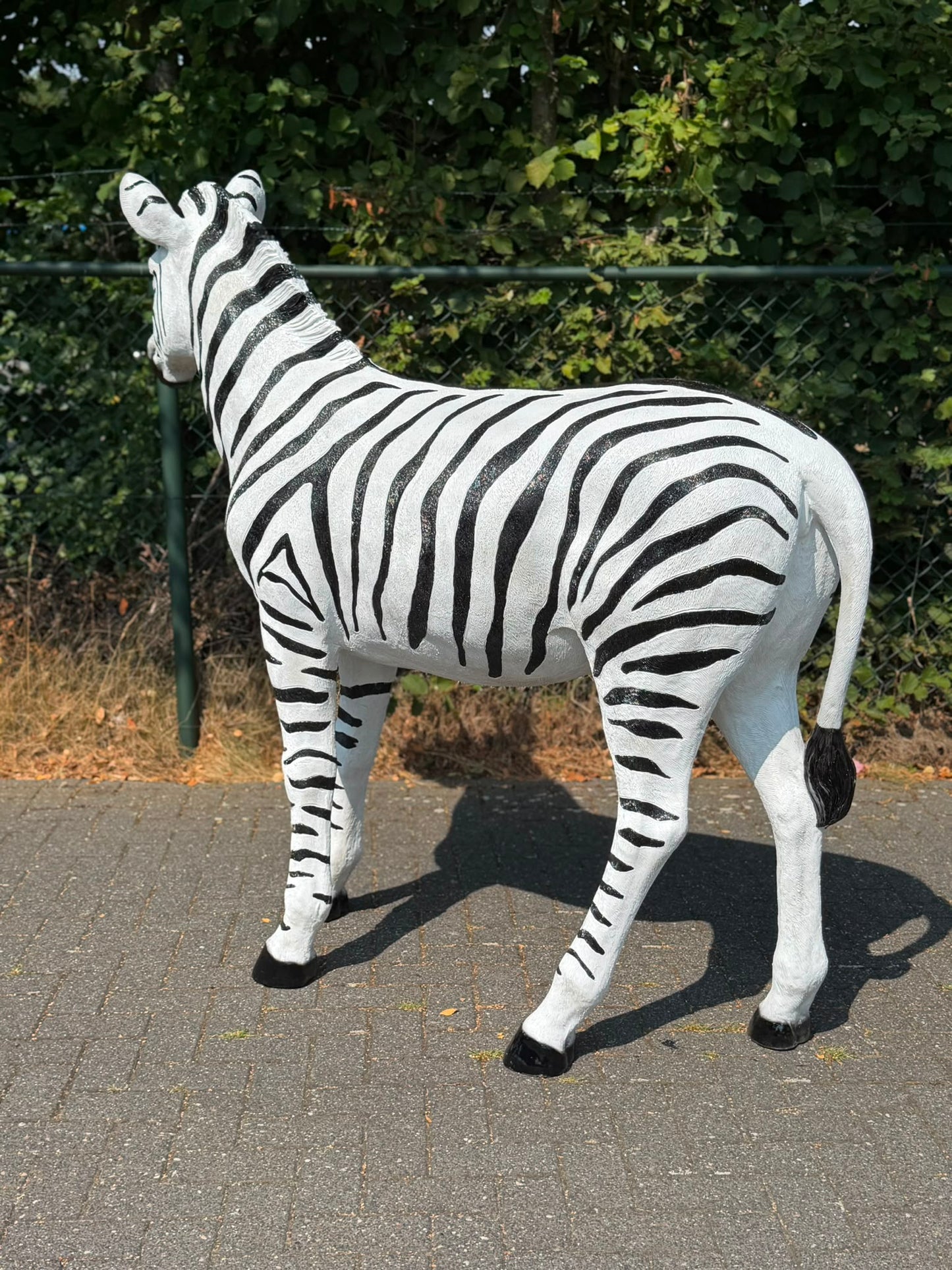 Mooi grote Zebra (170 cm hoog en 180 cm lang)