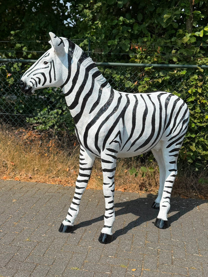 Mooi grote Zebra (170 cm hoog en 180 cm lang)