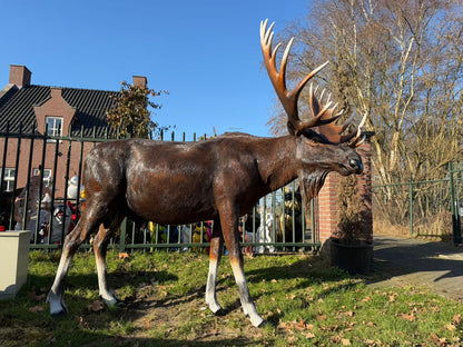Hert - Herten - Eland - Levensgroot - imposant - 300cm lang