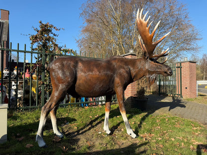 Hert - Herten - Eland - Levensgroot - imposant - 300cm lang